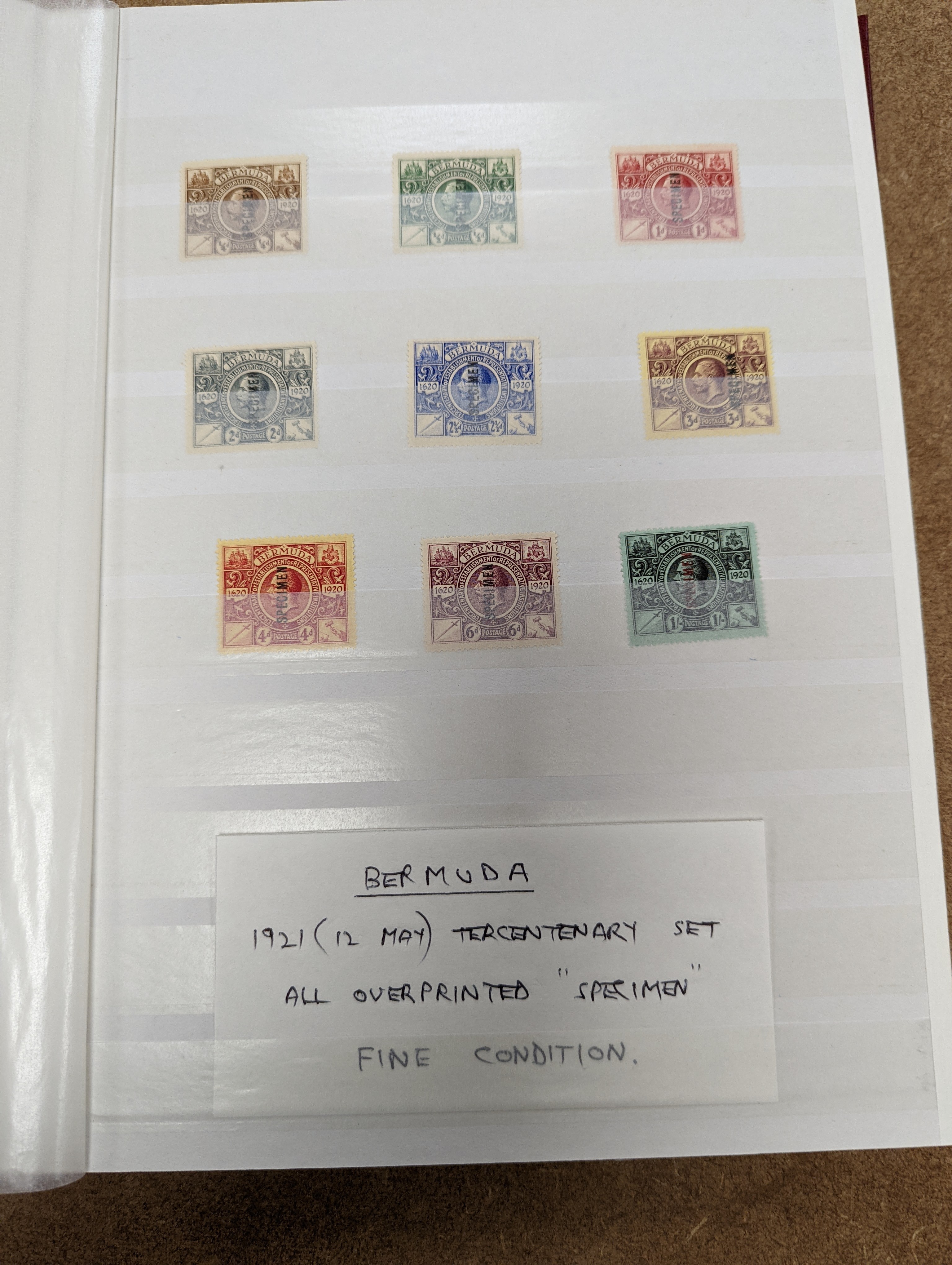 British Commonwealth stamps in stock book with Ascension 1922 set overprinted specimen, 1924 set mint, Bahamas, Barbados Britannia Heads, Cyprus 1928 anniversary set- £1 mint, Falkland 1s. 1878 1d claret mint (and certif